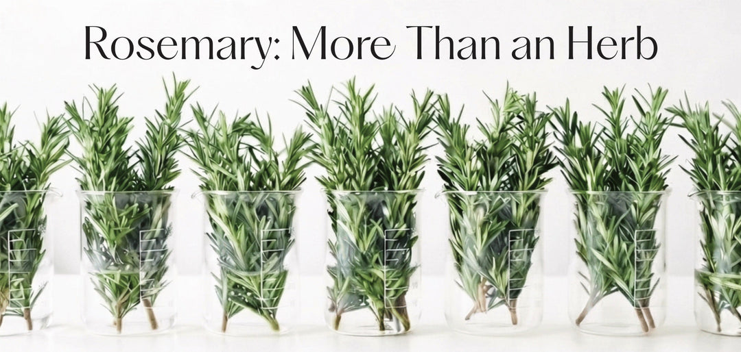 A fragrant botanical story of resilience, renewal, and the intelligence of nature.