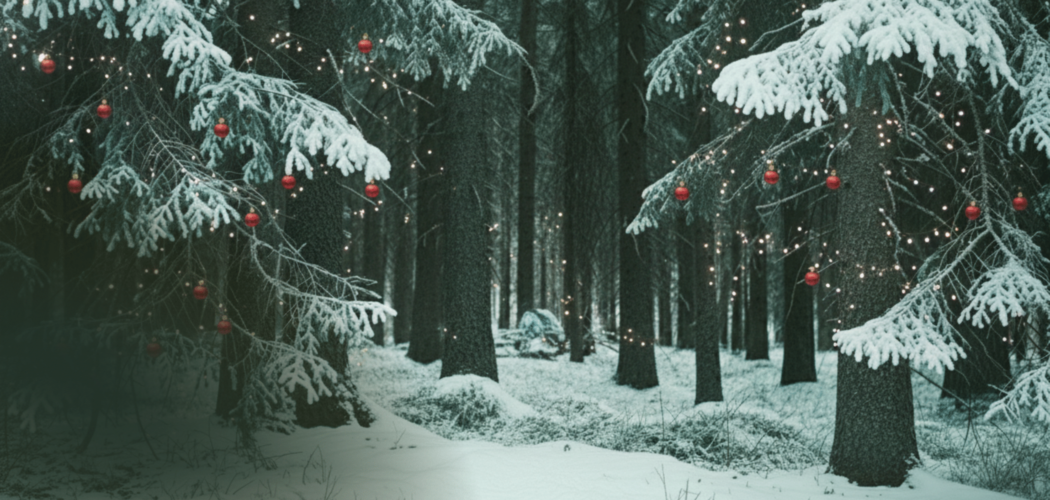 Winter Wonderland Holiday Gift Guide