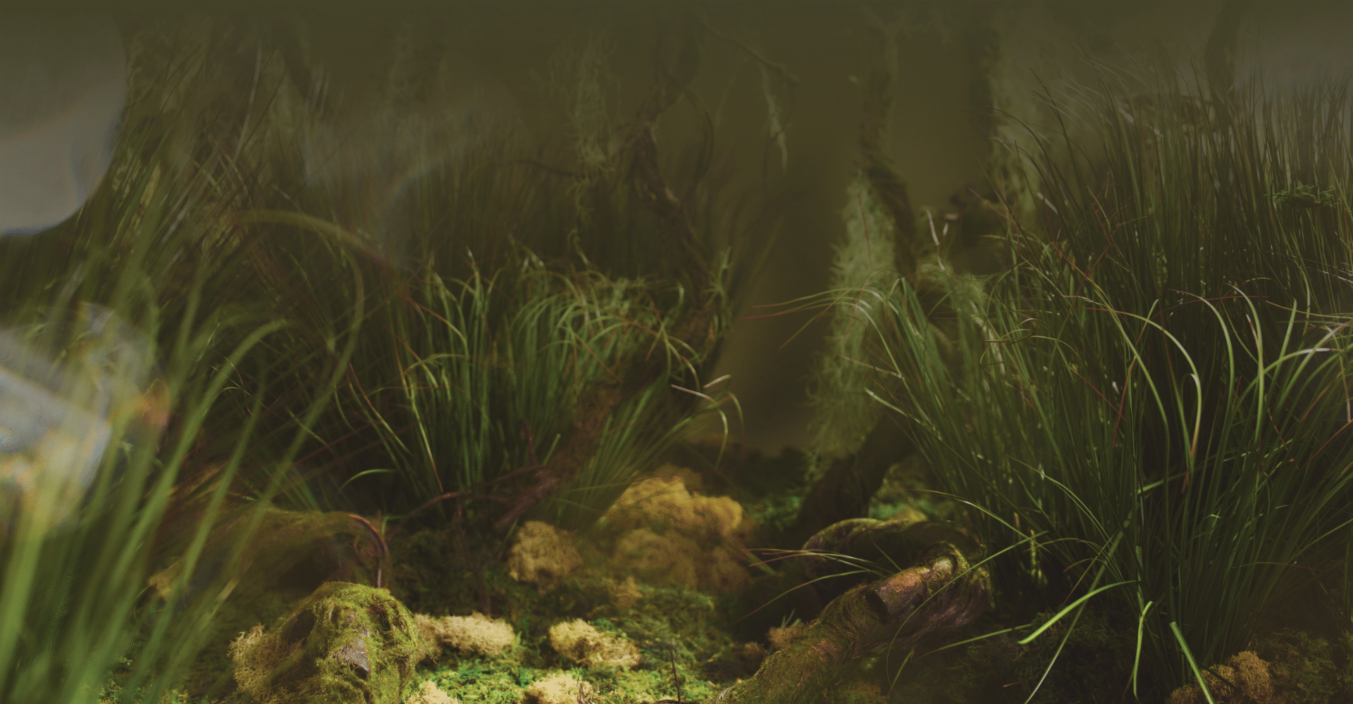 Aromatics